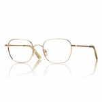 Kovové brýle F0493 vel. 55